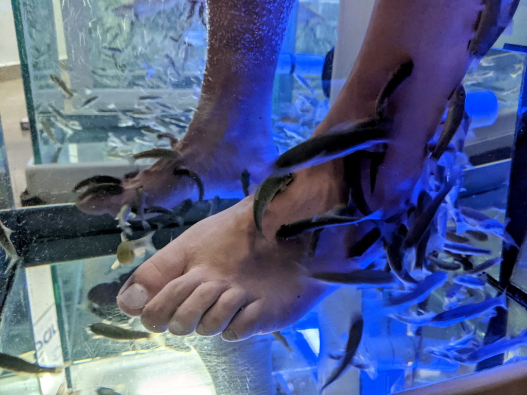 Fish Pedicure 